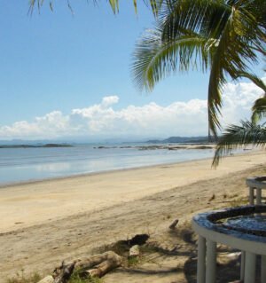 Traslados cómodos y seguros